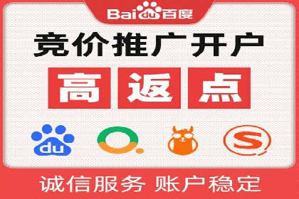 SEO与SEM优化案例：打造行业领先品牌